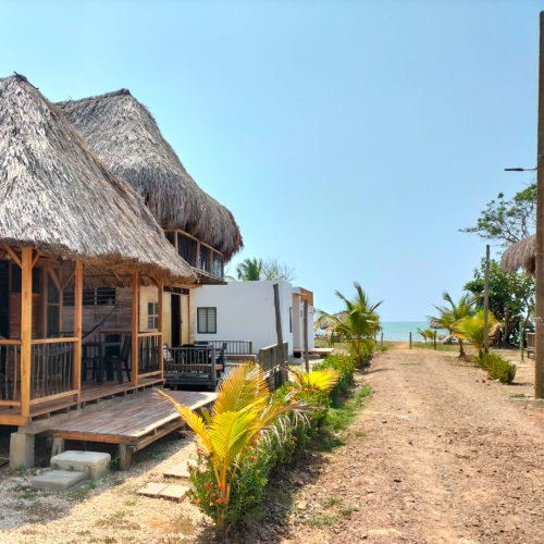 palmarito